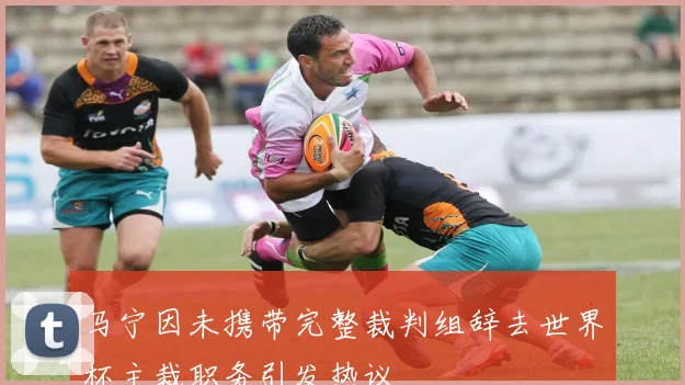 马宁因未携带完整裁判组辞去世界杯主裁职务引发热议